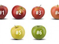 Выберите яблоко, которое вы бы съели, и узнайте о себе кое-что интересное