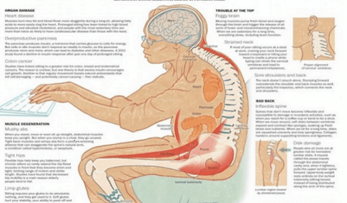 Плохое влияние сидячего образа жизни и его опасности