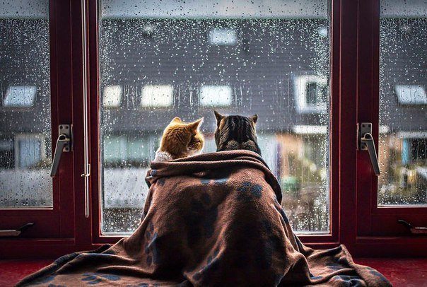 2 правила, которые изменят вашу личную жизнь.